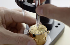 积家手表怎么看型号?